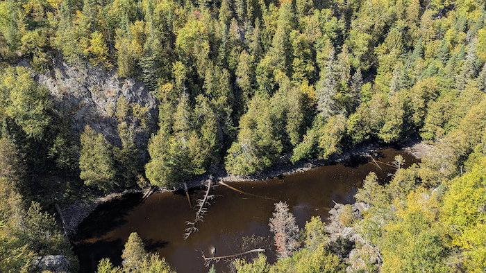 En hauteur, on peut voir un petit lac entouré de conifères et de feuillus.