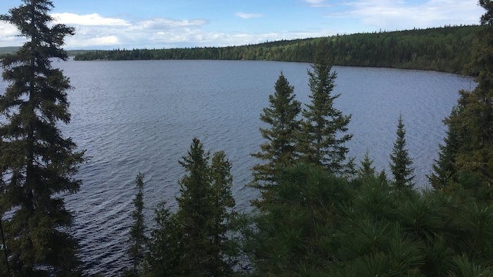 Un lac entouré de conifères.