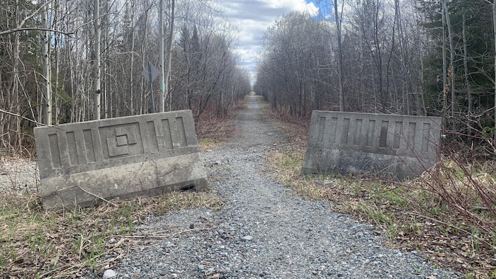 Un sentier dans une forêt.  