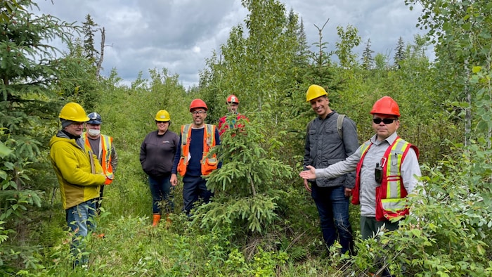 Un million d'arbres plantés dans la Forêt d’enseignement et de recherche du lac Duparquet. Un événement souligné par les membres du comité de gestion.