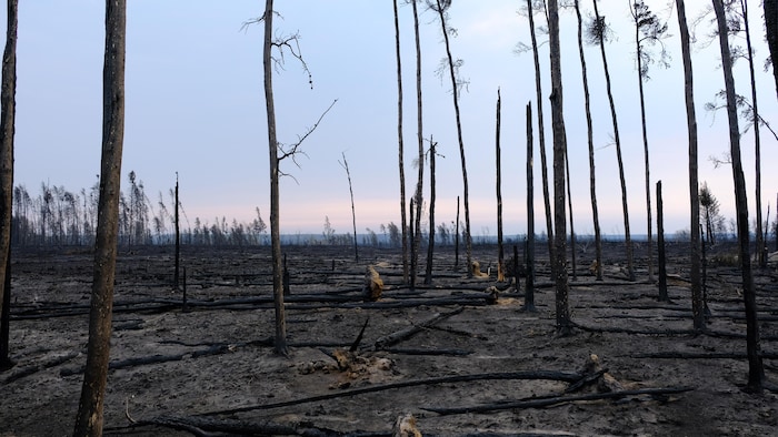 The state of emergency is lifted in Saskatchewan after a difficult month of forest fires The state of emergency is lifted in Saskatchewan after a difficult month of forest fires
