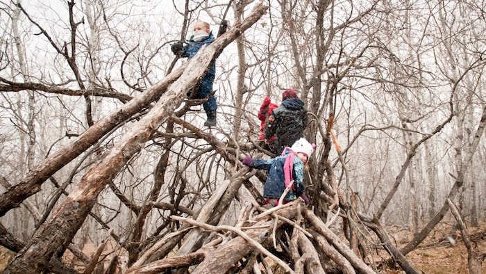 Des enfants grimpent dans une structure faite de branches d'arbres. 