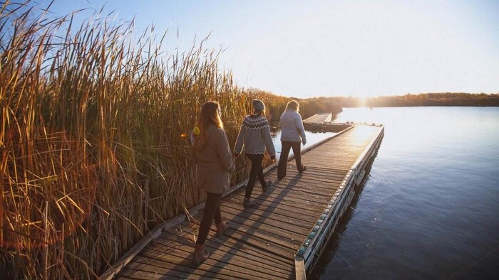 Trois personnes empruntent un sentier flottant traversant un marais.