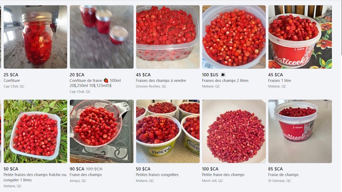 Une capture d'écran de facebook-marketplace qui présente des petites annonces de fraises des champs à vendre, entre 45 $ et 100 $.