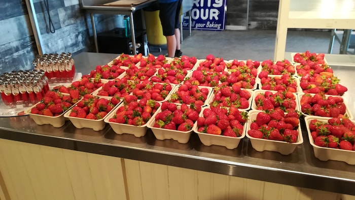 Des casseaux de fraises sont alignés sur un comptoir. 