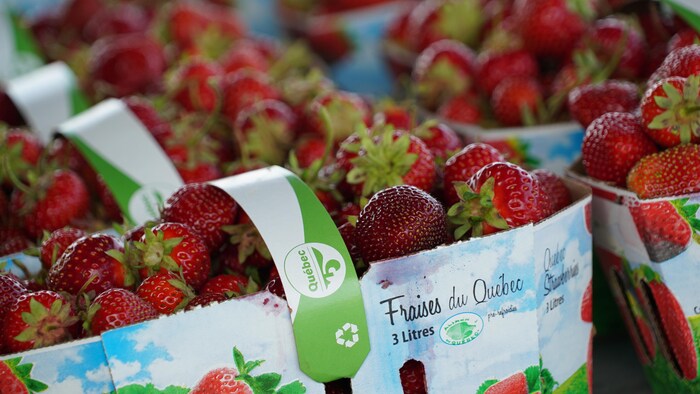 Des paniers de fraises sont disponibles à la vente. 