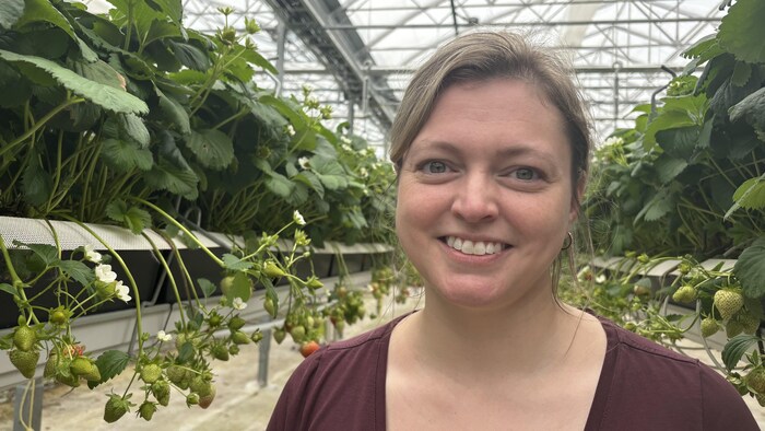 Greenhouse production: When the United States Boycota bears fruit star-news.press/wp Catherine Côté, President Owner and Explor-France.