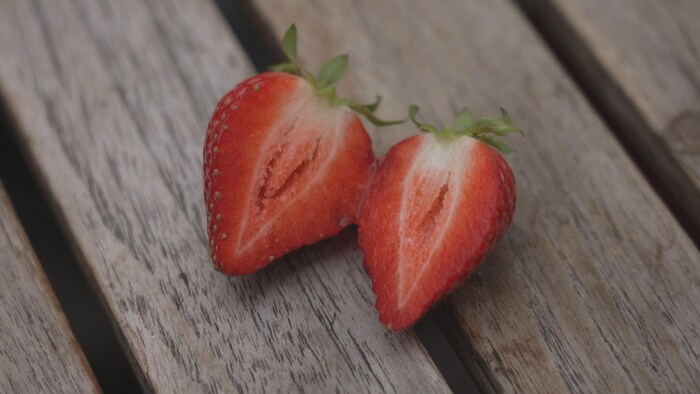 Greenhouse production: When the United States Boycota bears fruit star-news.press/wp Cut in half half of strawberry.