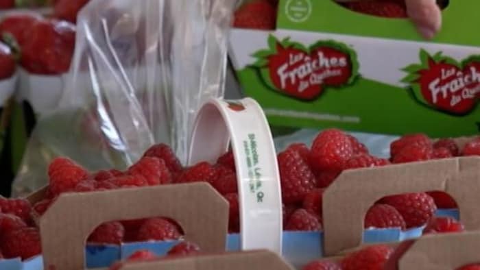 Les mains d'une personne au-dessus d'un étal de casseaux de framboises.