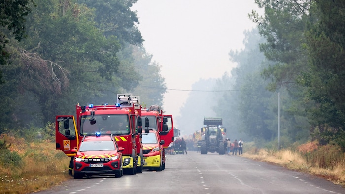 Des camions de pompiers sont alignés le long de la route, au milieu de la fumée dégagée par un incendie de forêt.
