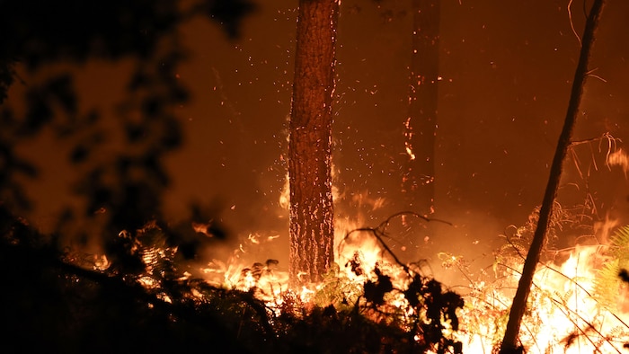 Un incendie dans la forêt des Landes, à Luglon, dans le sud-ouest de la France, aux premières heures du 14 août 2026.