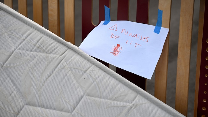 Une pancarte indiquant «Punaises de lit» sur un matelas abandonné sur le trottoir dans une rue de Marseille, dans le sud de la France, le 3 octobre 2023. 