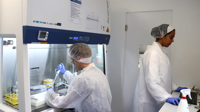 Deux personnes manipulent des instruments médicaux.