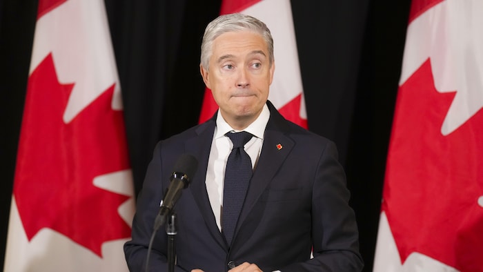 François-Philippe Champagne devant des drapeaux du Canada.