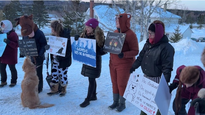 Des femmes avec des pancartes dont une avec un costume de marmotte.