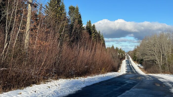 Une forêt des deux côtés d'une route rurale en hiver.
