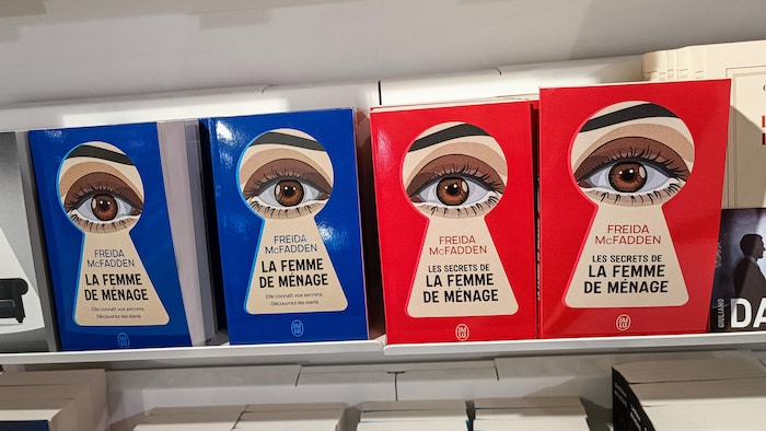 Des livres sur des étagères. 