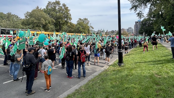 Des centaines de manifestants marchent dans la rue en brandissant des drapeaux verts.