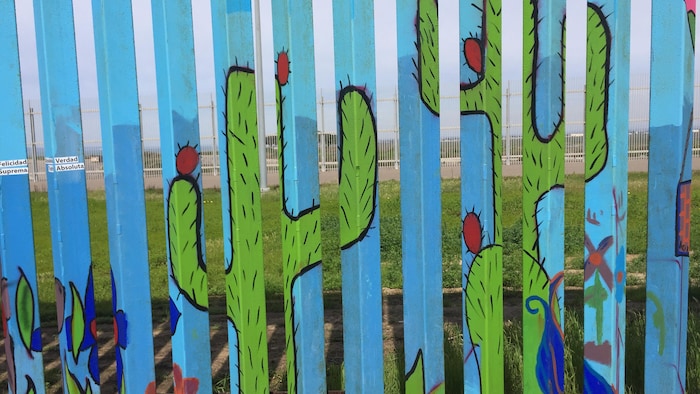 Des cactus sont représentés sur le mur.
