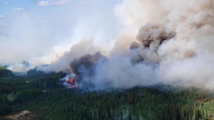 Vue aérienne d'un feu de forêt.