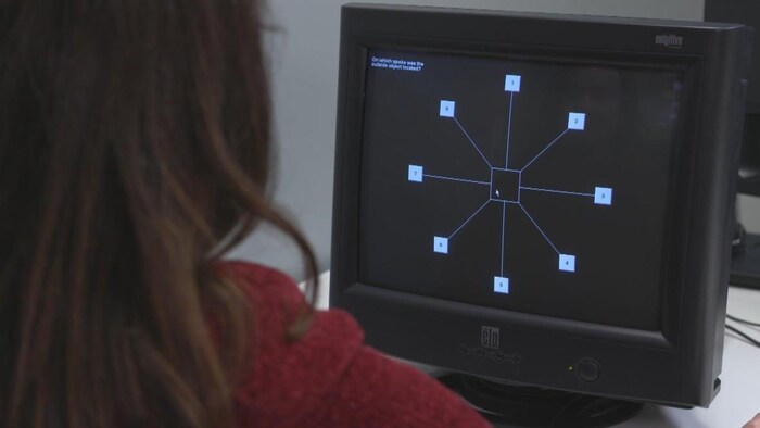 A woman looking at a computer program on a screen.
