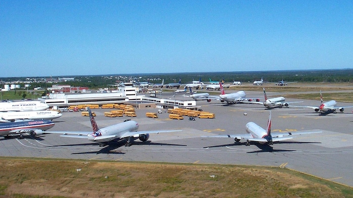 Des dizaines d'avions sur le tarmac de l'aéroport de Gander, ainsi que des dizaines d'autobus au loin.