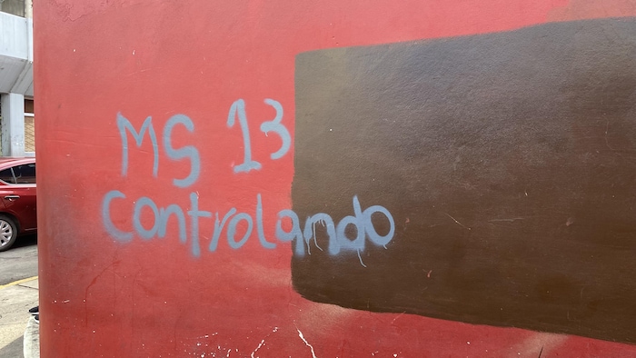 A gang tag in Tegucigalpa, Honduras. The UNHCR's Andres Celis says no authority or institution has 'the total capacity' to address the country's problems, giving rise to chaos and gang control in parts of Honduras. 