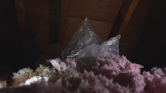 Un gâteau dans un sac de plastique, sur de la matière isolante.