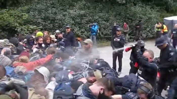 Capture d'écran d'une vidéo montrant la GRC utilisant du gaz poivré pour disperser des manifestants à Fairy Creek, sur l'île de Vancouver.