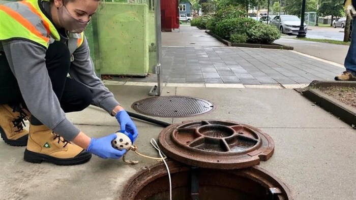 A researcher tests wastewater in a sewer outside Risley Hall, a residence at Halifax's Dalhousie University, as part of the wastewater testing project in Nova Scotia.