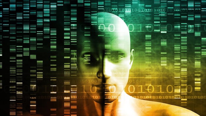 Dans leurs travaux, les chercheurs ont analysé environ 10 millions de variants génétiques à travers le génome afin de cartographier les 5 principaux traits de personnalité.