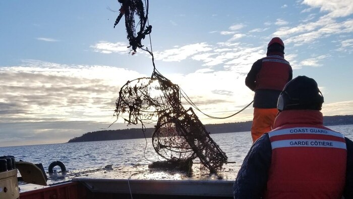 New ropeless fishing technology, which can help save whales, tested off  Newfoundland