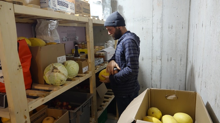 Gilbert Richard dans sa chambre froide garnie de courges et de cannages.