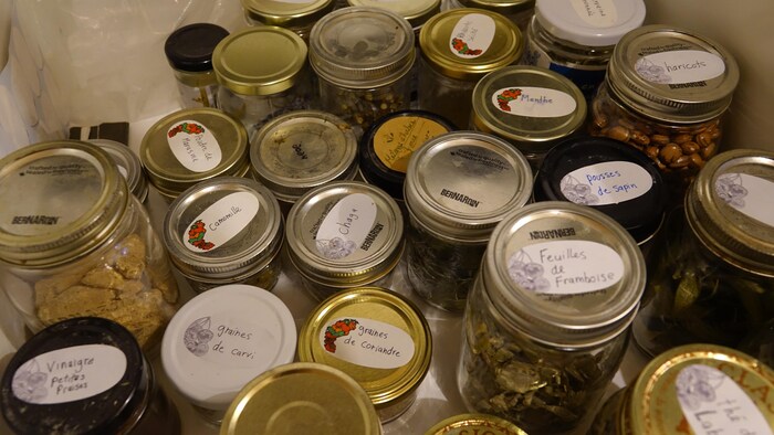 Des pots Mason avec des étiquettes, dont des graines de coriandre, de la menthe, des pousses de sapin.
