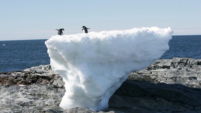 Fonte des glaces en Antarctique.