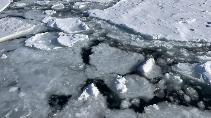 Des blocs de glace de différentes tailles flottent sur l'eau de la baie de Sept-Îles. 