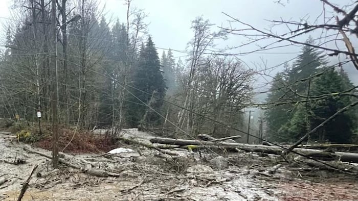 Un glissement de terrain au nord de Pipeline Road, à Coquitlam, a entraîné la chute de lignes électriques, tôt jeudi matin.