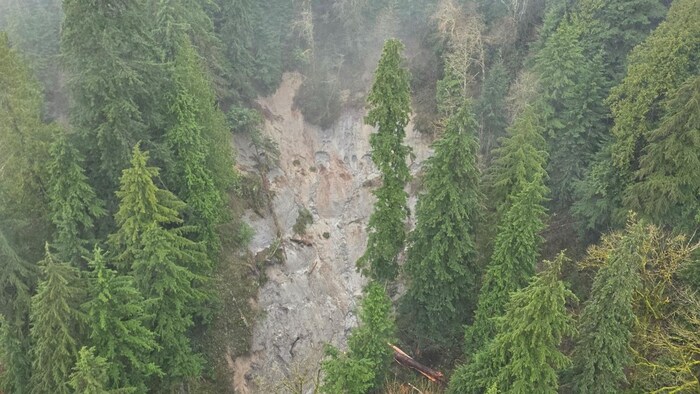 Une zone de roche abrupte dénudée du sol et des arbres qui s'y accrochaient.