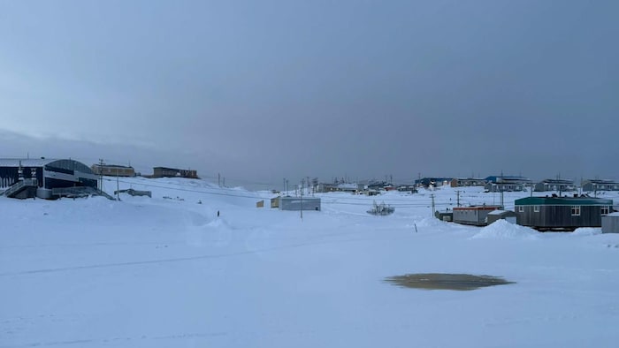 Une flaque d'eau est visible au milieu de l'étang.