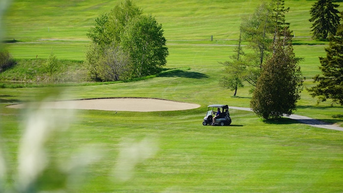 Une personne en voiturette de golf.