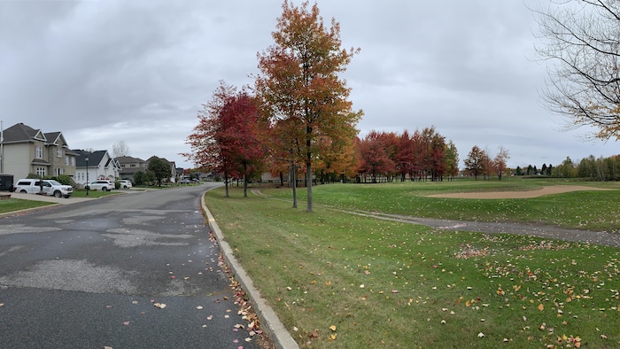 Un terrain avec des arbres, une rue et des maisons avec des voitures.