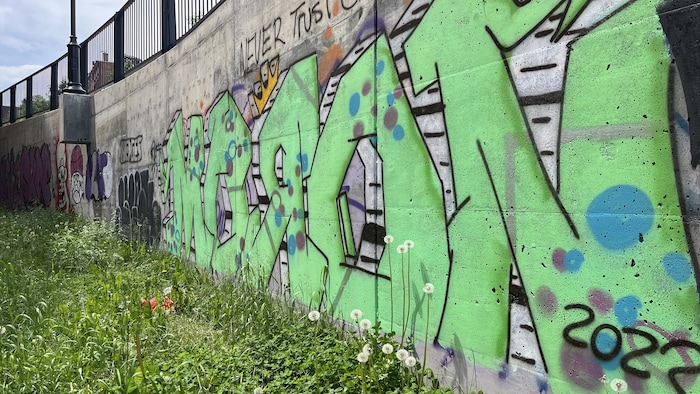 Un graffiti.