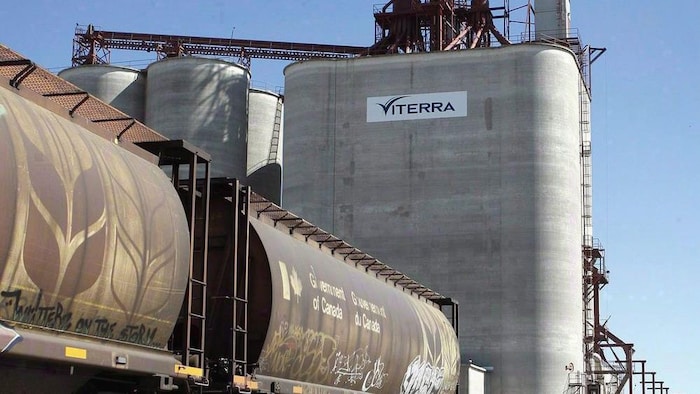 Un train avec des wagons à grain devant un élévateur à grain de l'entreprise Viterra.