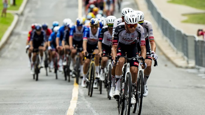 Une cinquantaine de cyclistes forment un peloton.