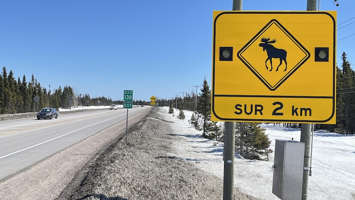 Panneau d'avertissement sur la route 138 indiquant la présence d'orignaux.