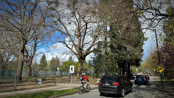 Des voitures et un vélo entant dans un parc, avril 2024.