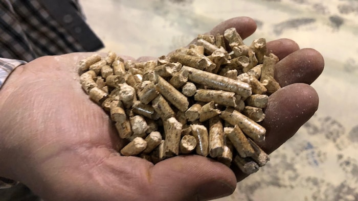 Granules de bois dans une main