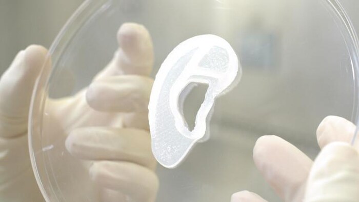 Impresión en 3D de la una oreja.