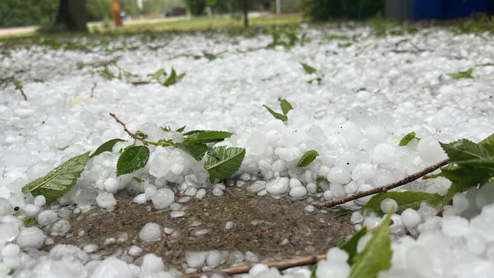 Des grêlons après le passage d'un orage à Lumsden, en Saskatchewan, le 26 juin 2025.