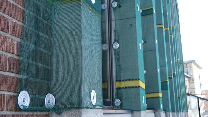 Le grillage vert qui recouvre l'édifice du gouvernement du Canada sur la rue de la Cathédrale, à Rimouski.